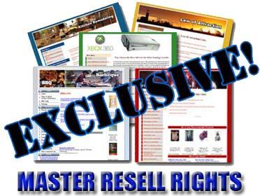 85 Adsense Ready Niche Websites